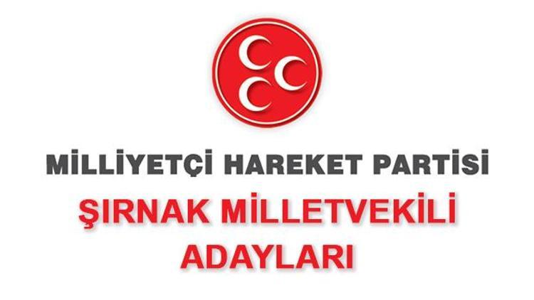 MHP Şırnak Milletvekili Adayları kimler 2018 MHP Şırnak Adayları