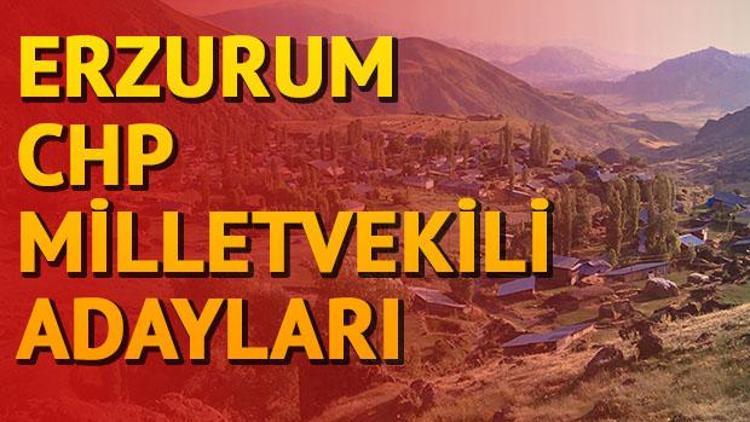 CHP Erzurum milletvekili adayları kimler İşte 2018 Erzurum milletvekili adayları
