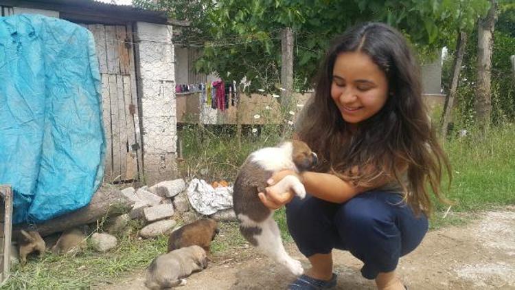 Sinem, boğulmaktan kurtardığı 10 yavru köpeğe sahiplendi