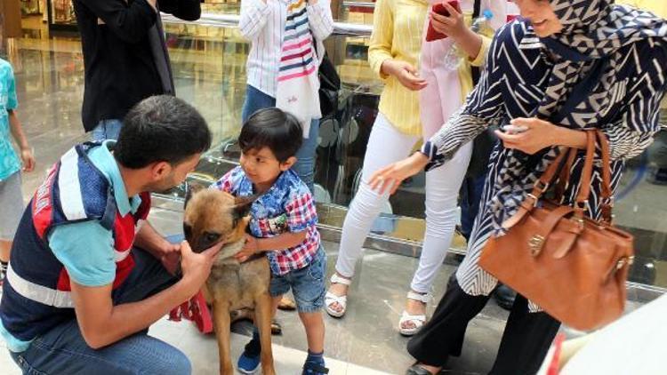 Çocukların, narkotik köpeklere ilgisi