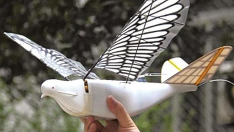 Çinli casusların son silahı Robot kuşlar