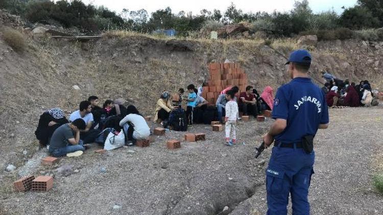 Ayvacıkta 75 kaçak göçmen yakalandı
