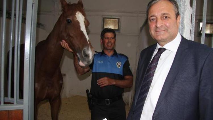 Kayseri polisi, hediye atlarla göreve başladı