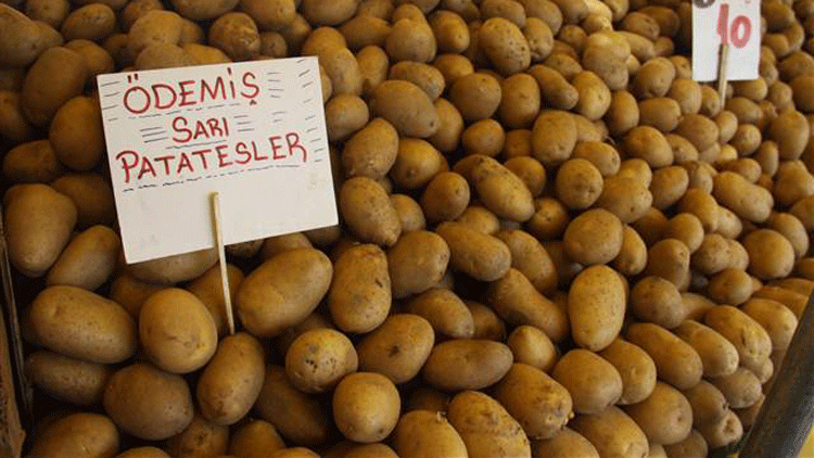 Patates ve soğan fiyatlarında keskin düşüş