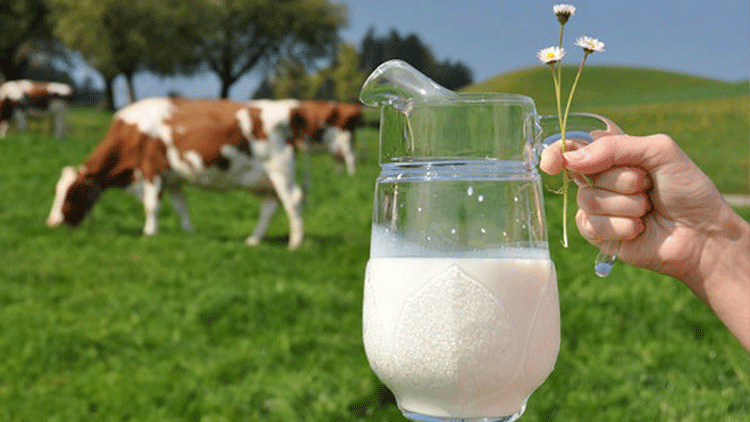 Yem ve çiğ süt fiyatı ile ilgili önemli talep