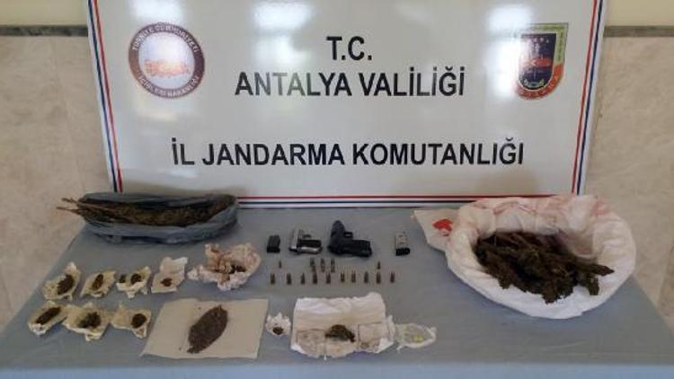 Jandarmadan uyuşturucu operasyonları