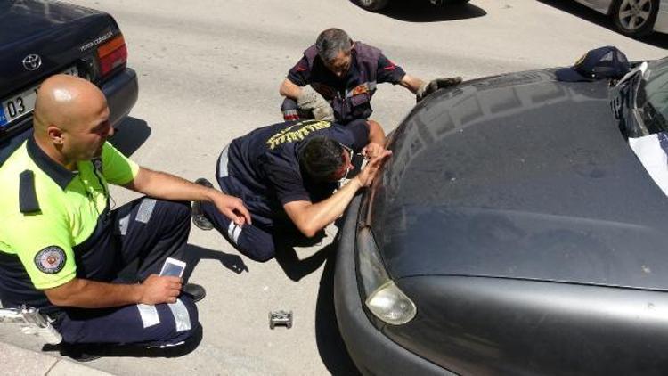 Park halindeki aracın motorunda sıkışan kedi kurtarıldı