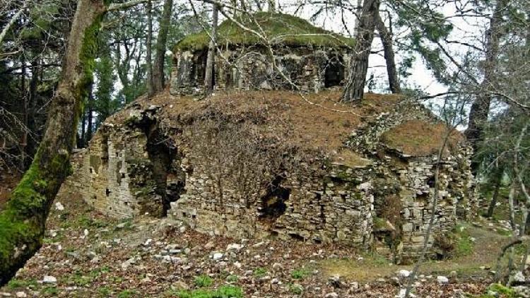 Tarihi manastır, ağaçlar kesilerek yıkılmaktan kurtarıldı