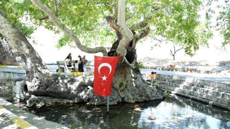 Gülnar’da mesire alanına bakım