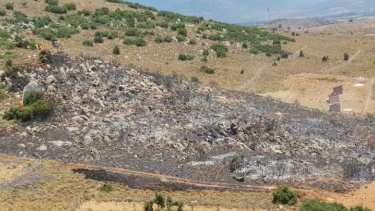 Hatay’da orman yandı, kontrol altına alındı