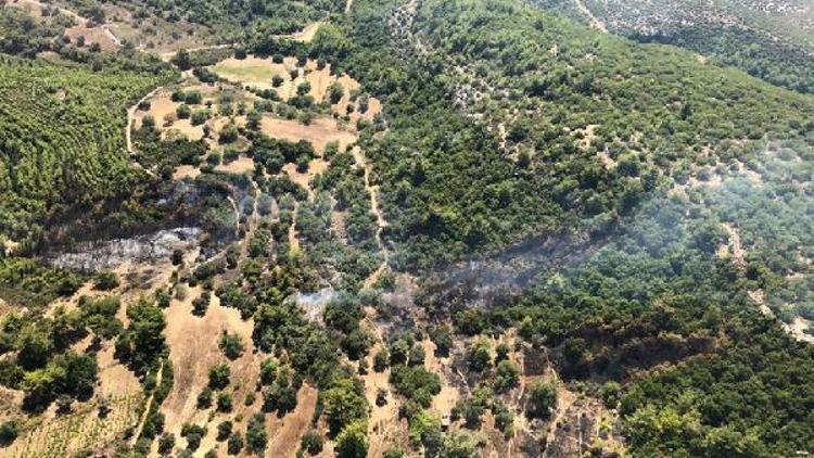 Antalyada orman yangında 1 hektar zarar gördü