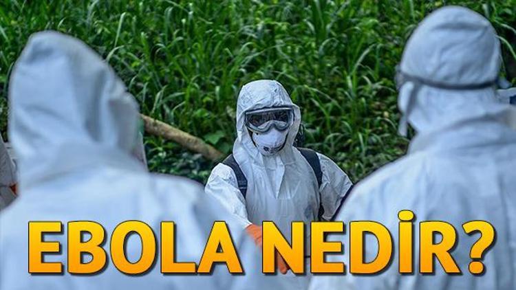 Ebola nedir Ebola belirtileri neler