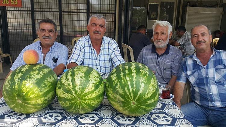 Düşük fiyat üreticiyi kara kara düşündürüyor