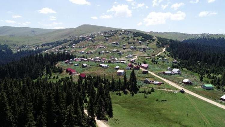 Giresunda PKKlı teröristlerle çatışma: 1 asker şehit (4)