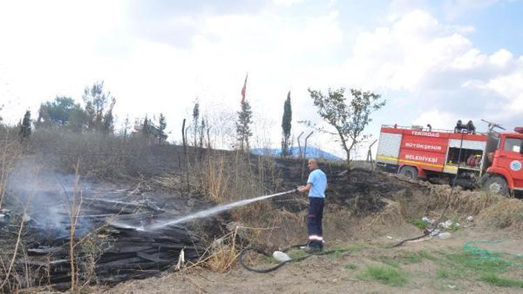 Malkarada piknik alanında yangın