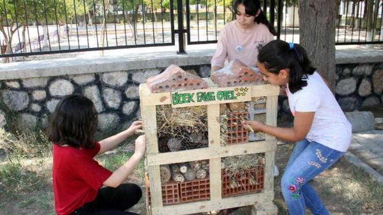 Nesli tükenen böceklere otel yaptılar