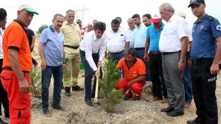 Erdemlide 15 Temmuz Hatıra Ormanı oluşturuldu