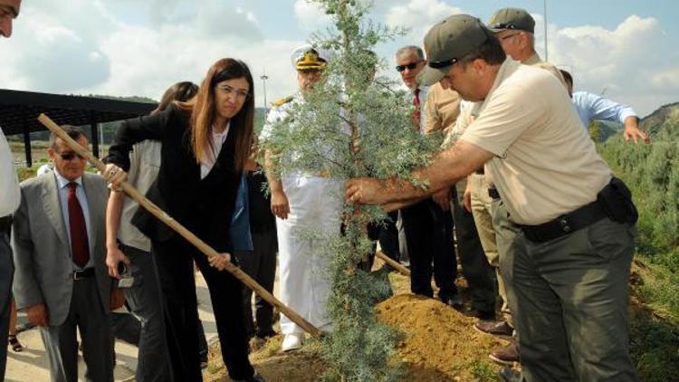 Yalovada 15 Temmuz Şehitleri Hatıra Ormanı oluşturuldu