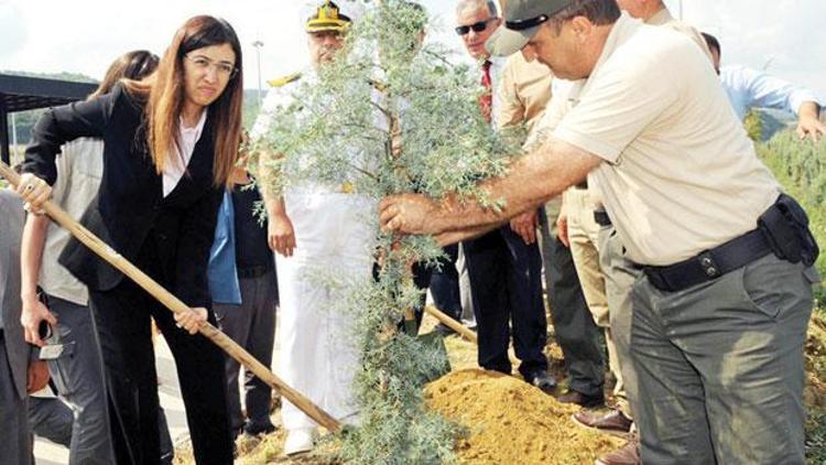 Bir orman gibi kardeşçesine...