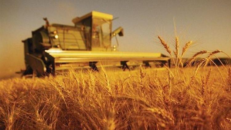 Tarım- ÜFE yüzde 0,08 arttı