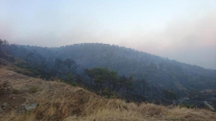 Hatay’da orman yangını (2)