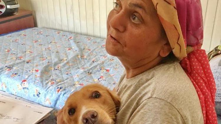 Aksoyoğlu, barınağın kapanıp 250 köpeğin ortada kalmasından korkuyor