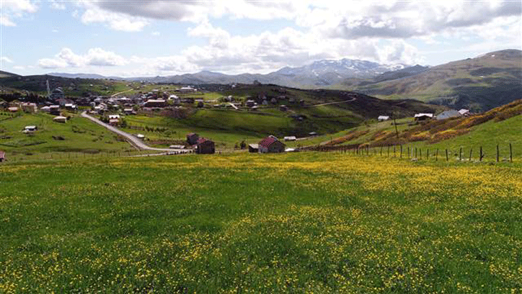 Ordu’nun yaylalarına Arap turist akını