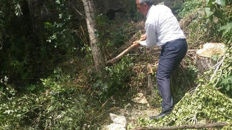 Bitliste vatandaşların isteği üzerine kavak ağaçları kesildi