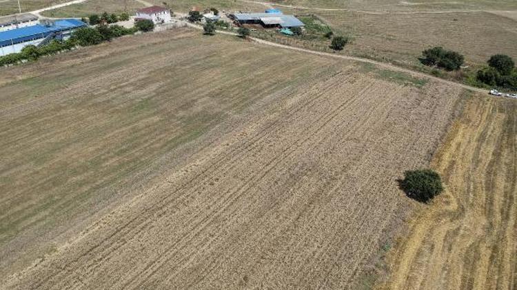 Ek fotoğraflar // İstanbulda “Milli Tarım Yerli Tohum Deneme Ekimleri” projesi başladı