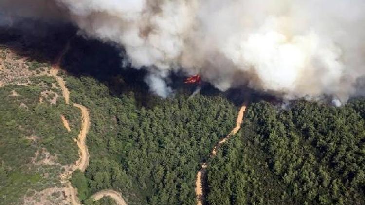 İzmirde orman yakınında yangın