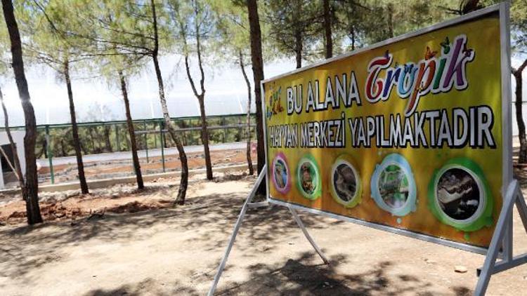 Filipinlerden, Gaziantepe 20 bin kelebek getirilecek