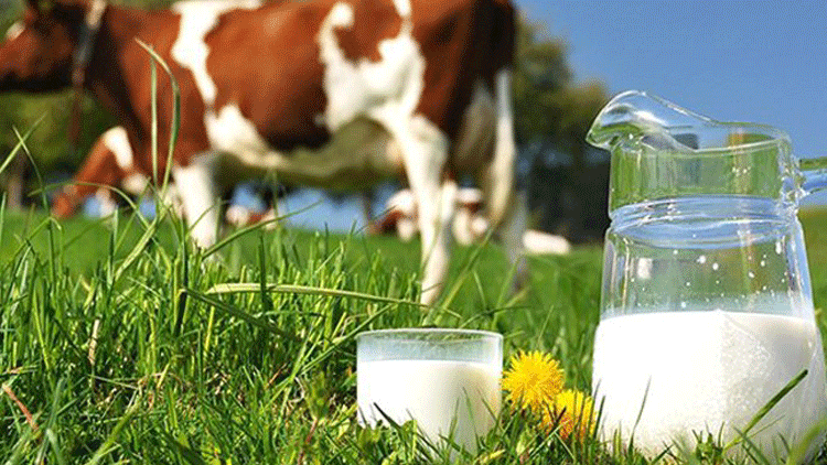 ‘Çiğ süt fiyatı 2 lira 6 kuruş olmalı’