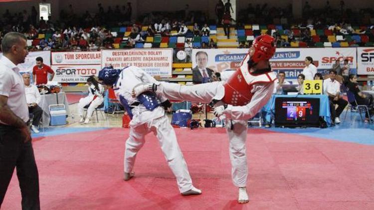 Tekvando Federasyonu Başkanı Şahin: Amacımız saygılı sporcu yetiştirmek