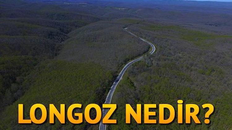 Longoz nedir Longoz ormanları nerede