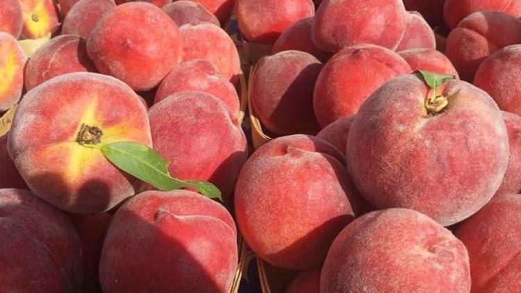 Rusyaya meyve sebze ihracatında şeftali ilk sırada