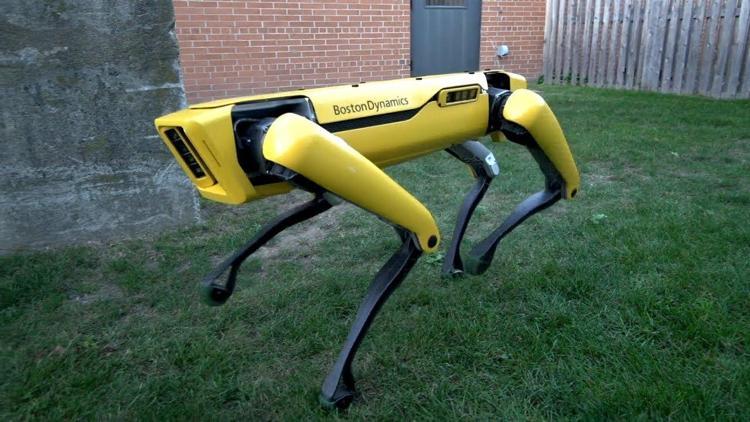 Boston Dynamics yılda 1000 adet robot köpek üretecek