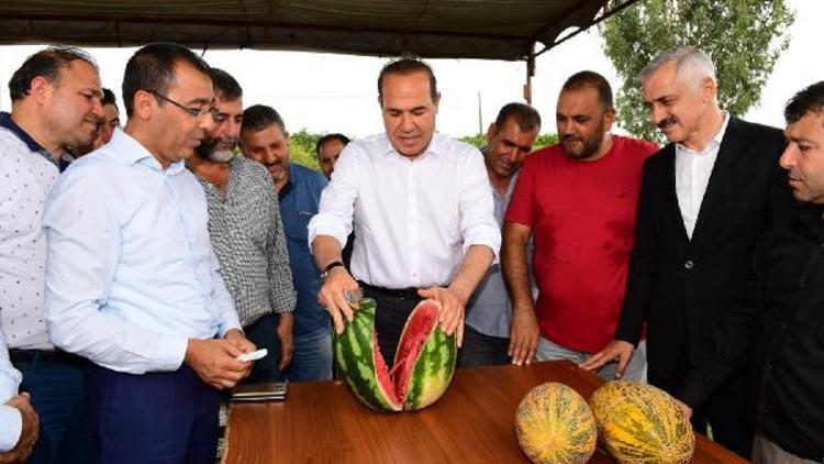 Karpuz üreticilerinden Başkan Sözlüye teşekkür