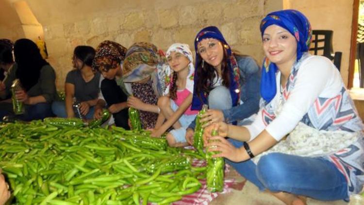 Midyatta kadınların turşu mesaisi başladı