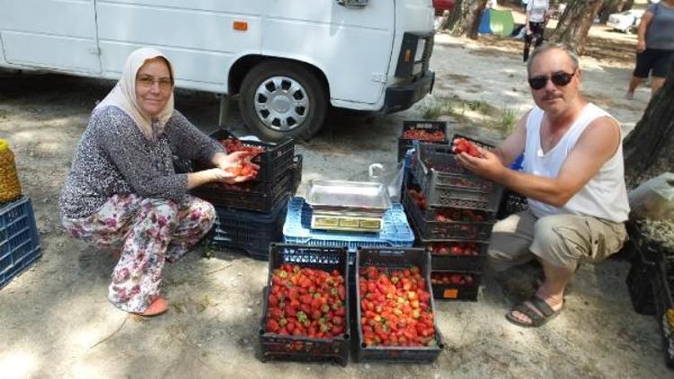 Kazdağı çileği üreticileri sevindirdi