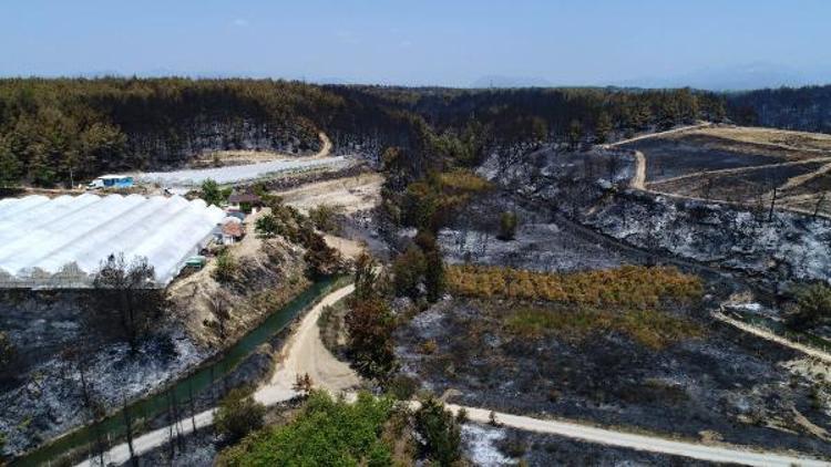 Aksudaki orman yangınında hasar tespiti yapılıyor