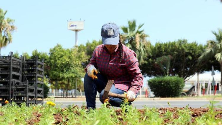 Mersin çiçek açtı