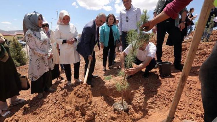 Sivas Belediyesinden ağaçlandırma seferberliği