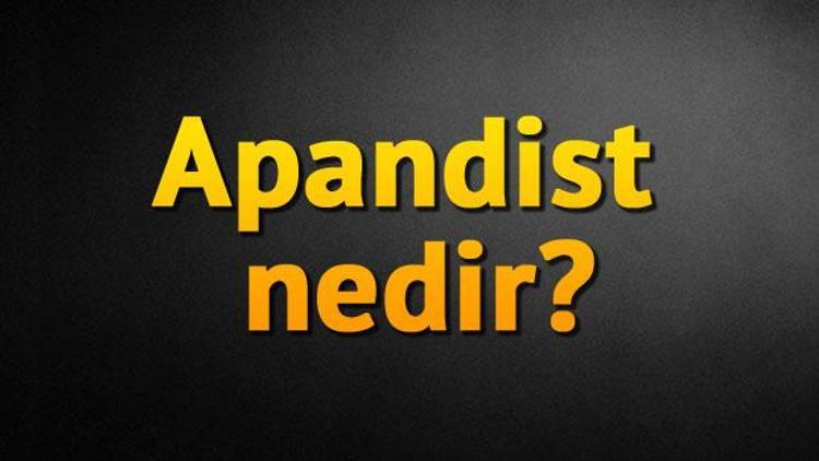 Apandist nedir