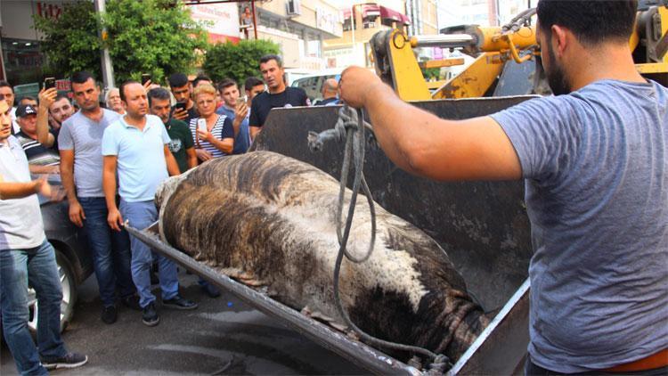 Şehri birbirine kattı Böyle yakaladılar…