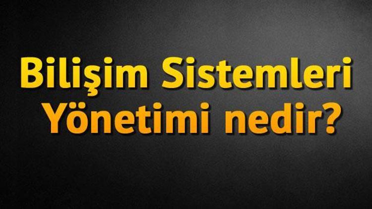 Bilişim Sistemleri Yönetimi nedir