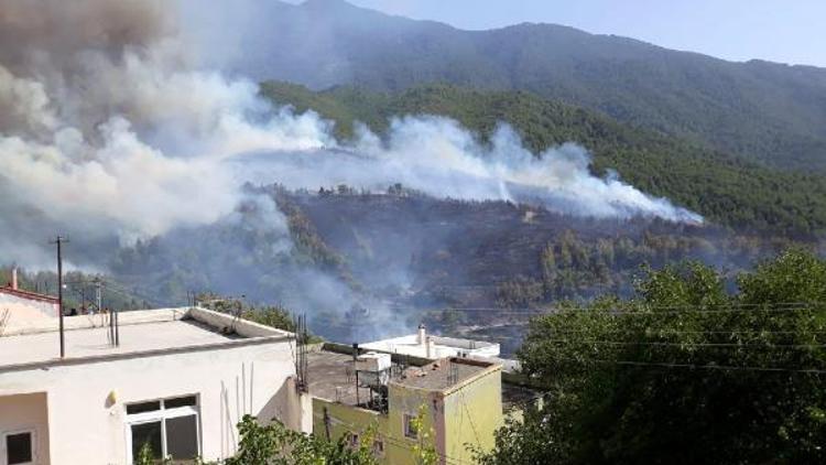 Hataydaki orman yangını 5 eve zarar verdi