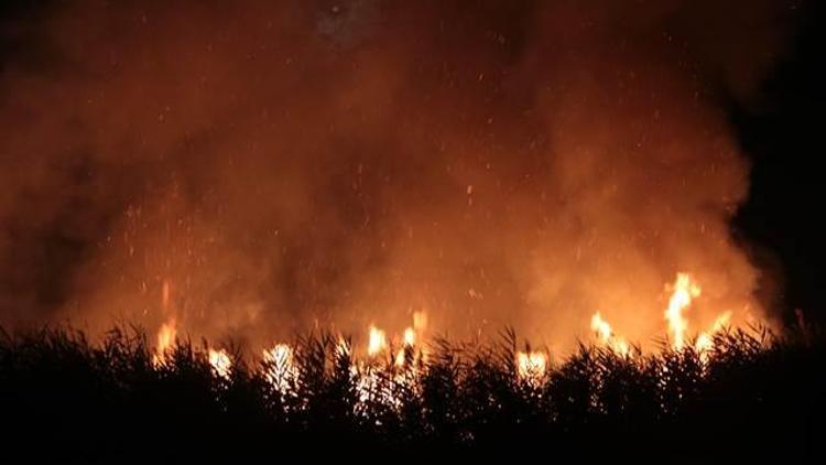 Mogan Gölü kıyısındaki sazlık alanda yangın
