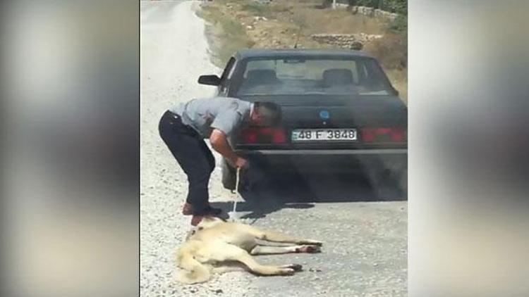 Sosyal medyada tepki yağdı... Yakalandı. Cezası belli oldu