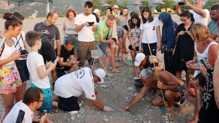 Denizle buluşan carettaları su altı fotoğrafçısı görüntüledi