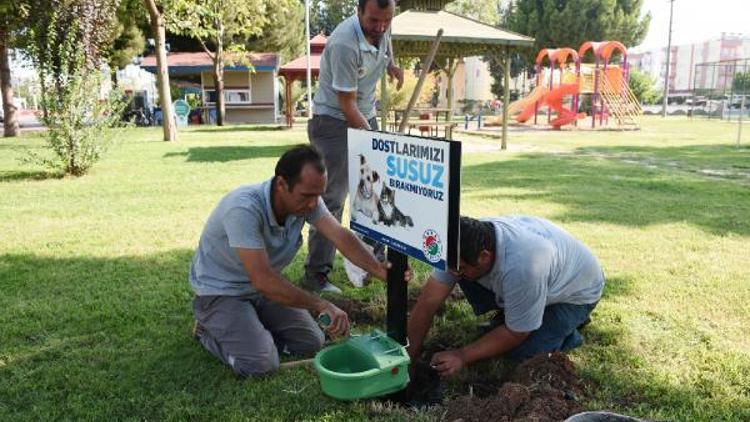 Sokak hayvanları için suluk